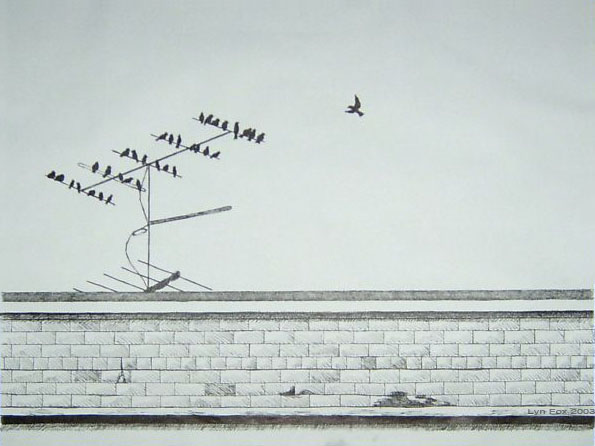 Birds on Antenna
